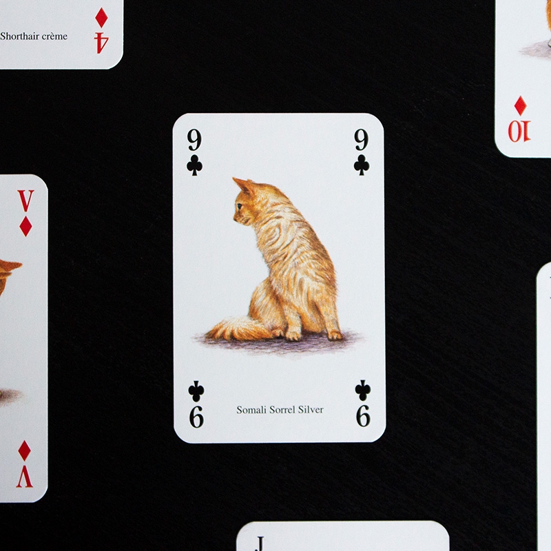 Cats Playing Card