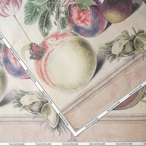 Wrapping Paper - Fruit and Flower