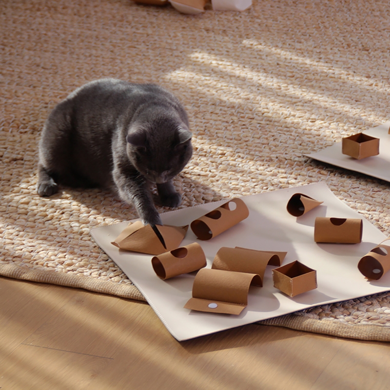 캐치하다 고양이 먹이퍼즐