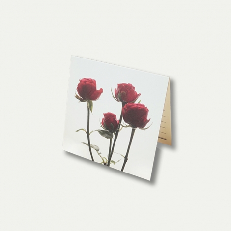 Flower Card - Red Rose